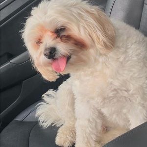 Meet your Posher, Maryam